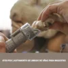 Aditamiento para limado de uñas para mascotas Dremel AT01 2615.PG0.000-000