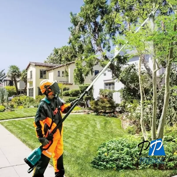 Podadora Telescopica 18V + 18V / LXT / 12" ESP / 2.5M - 3.8M DUA301ZB