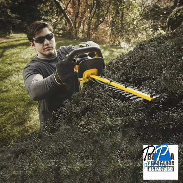 Cortasetos 22" 20 V 2800 Rpm Baretool (Sin Baterias/Sin cargador) Dewalt DCHT820B